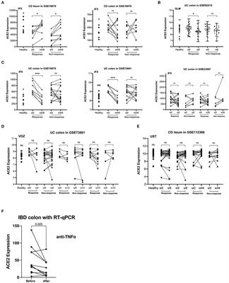 Down-Regulation of Colonic ACE2 Expression in Patients With Inflammatory Bowel Disease Responding to Anti-TNF Therapy: Implications for COVID-19